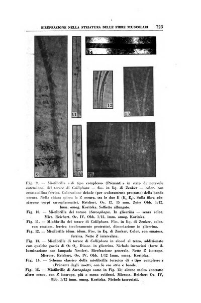 Rassegna di terapia e patologia clinica