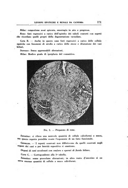 Rassegna di terapia e patologia clinica