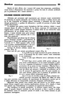 giornale/TO00192344/1941/unico/00000035