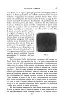 giornale/TO00192391/1927/unico/00000061