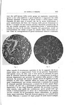 giornale/TO00192391/1930/unico/00000703