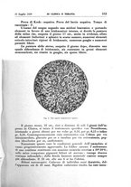 giornale/TO00192391/1939/unico/00000635