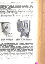 giornale/TO00192391/1942/unico/00000477