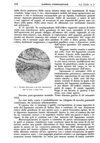 giornale/TO00192391/1942/unico/00000544