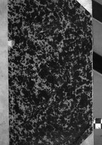 giornale/TO00193530/1889/v.21/00000005