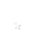 giornale/TO00193581/1908/v.2/00000014