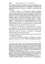 giornale/TO00193591/1861/T.5/00000386