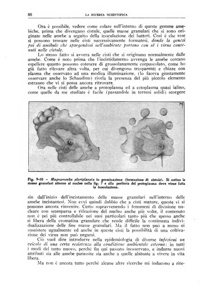 La ricerca scientifica ed il progresso tecnico nell'economia nazionale