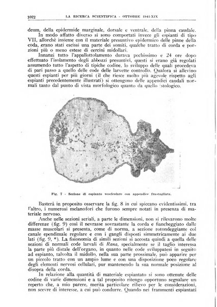 La ricerca scientifica ed il progresso tecnico rivista mensile