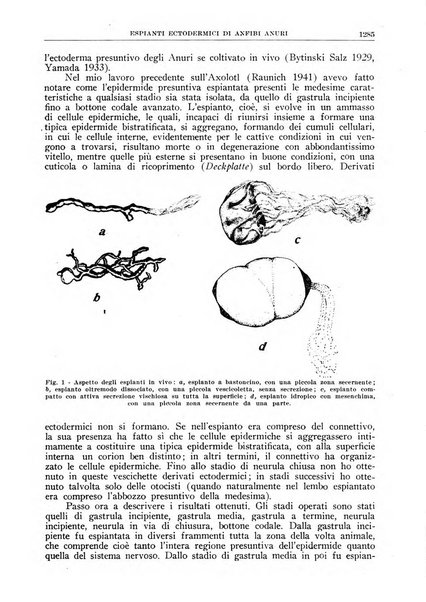 La ricerca scientifica ed il progresso tecnico rivista mensile