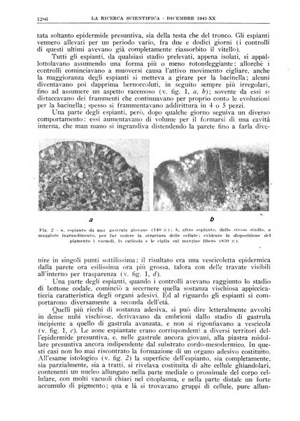 La ricerca scientifica ed il progresso tecnico rivista mensile