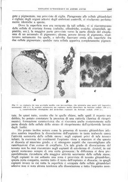 La ricerca scientifica ed il progresso tecnico rivista mensile