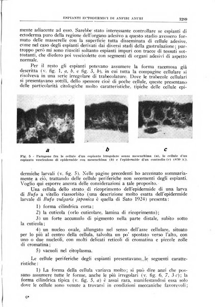 La ricerca scientifica ed il progresso tecnico rivista mensile