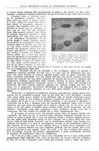 La ricerca scientifica ed il progresso tecnico rivista mensile