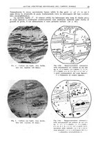 giornale/TO00193685/1943/unico/00000031