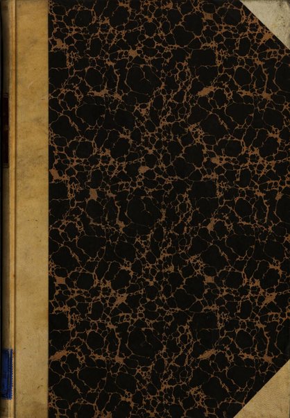 Ricerche di morfologia