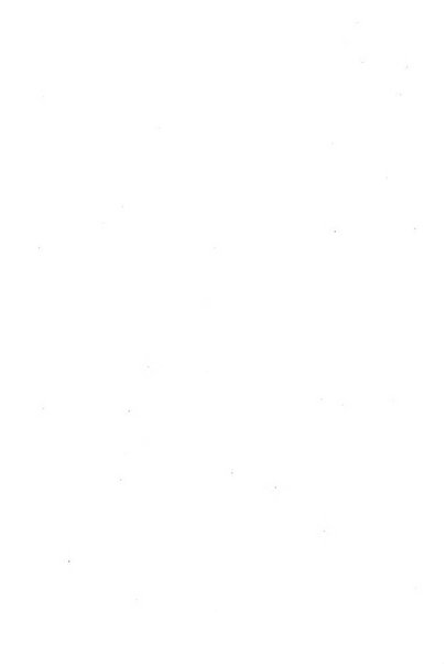 Ricerche di morfologia