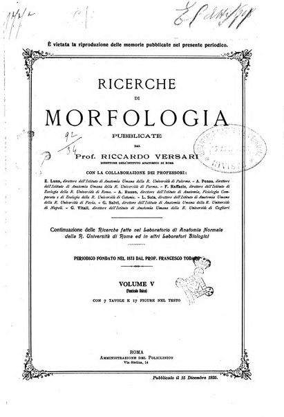 Ricerche di morfologia
