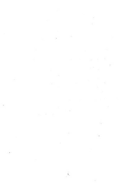 Ricerche di morfologia