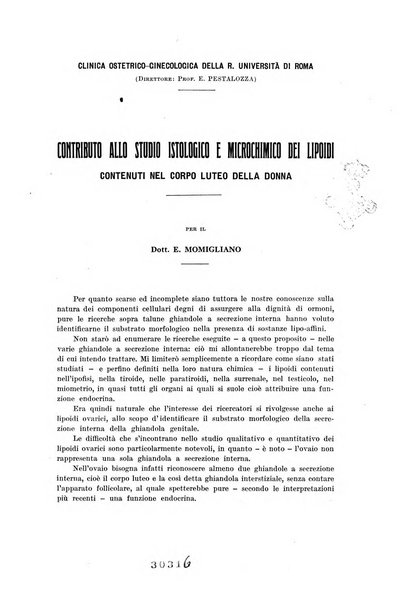 Ricerche di morfologia