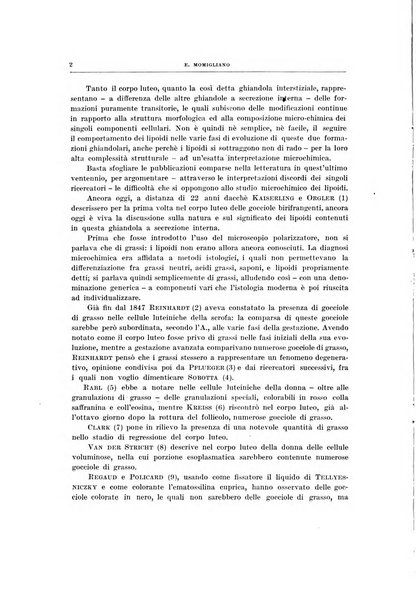 Ricerche di morfologia