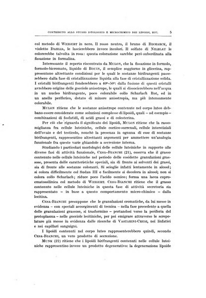 Ricerche di morfologia