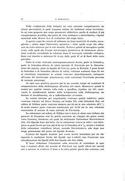 Ricerche di morfologia