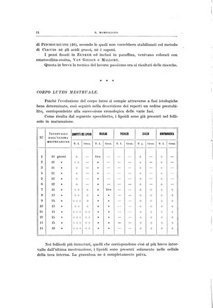 Ricerche di morfologia