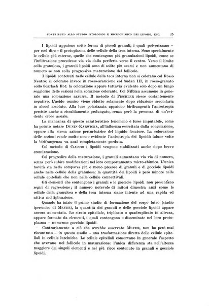 Ricerche di morfologia