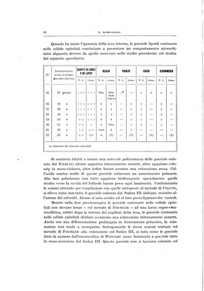 Ricerche di morfologia