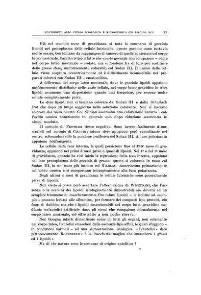 Ricerche di morfologia