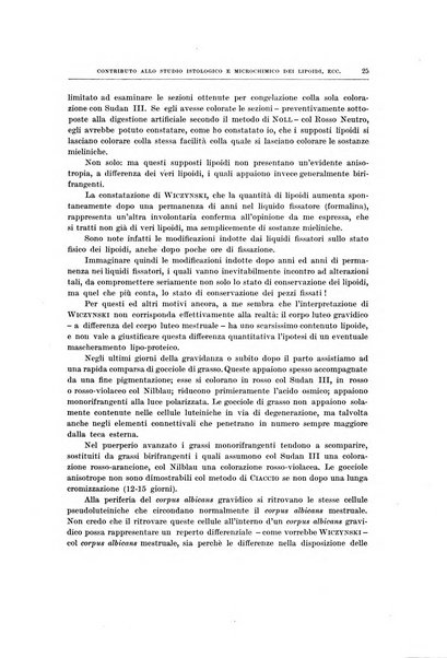 Ricerche di morfologia