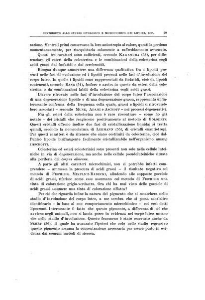 Ricerche di morfologia