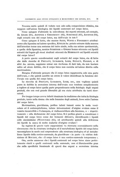 Ricerche di morfologia