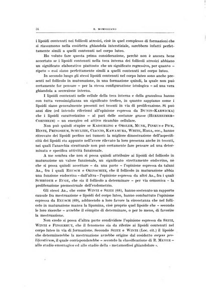 Ricerche di morfologia