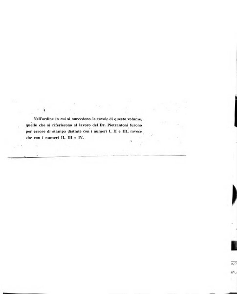 Ricerche di morfologia