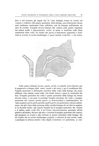 Ricerche di morfologia