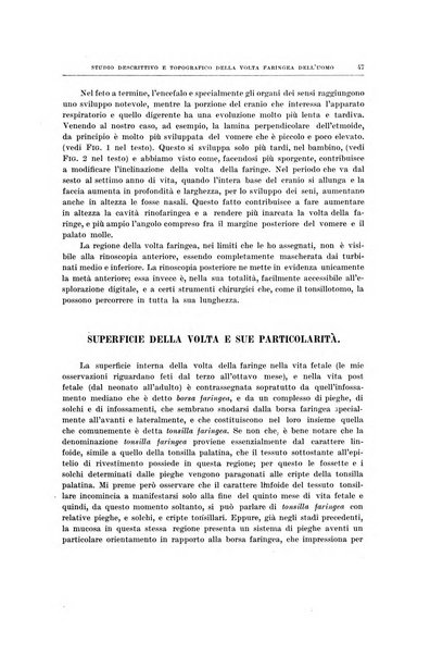 Ricerche di morfologia