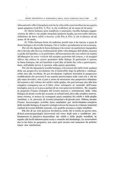 Ricerche di morfologia