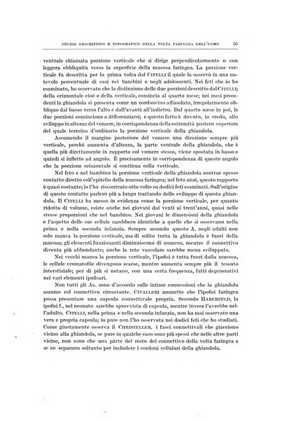 Ricerche di morfologia