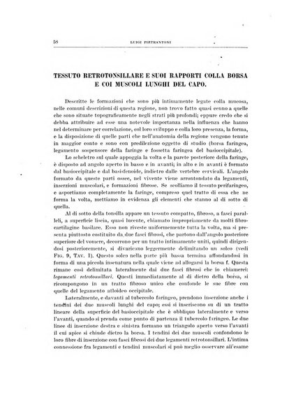 Ricerche di morfologia