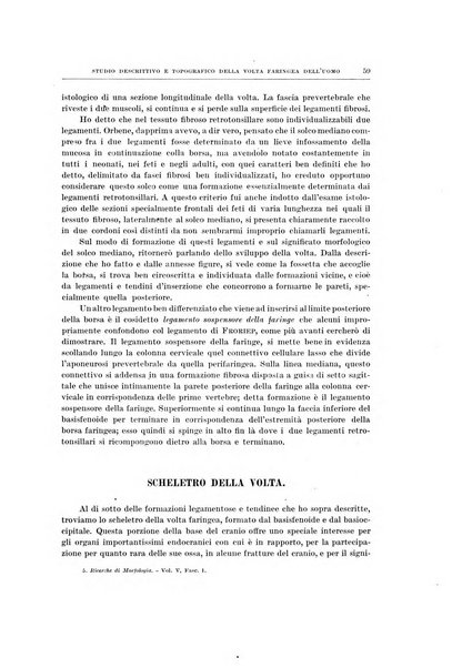 Ricerche di morfologia