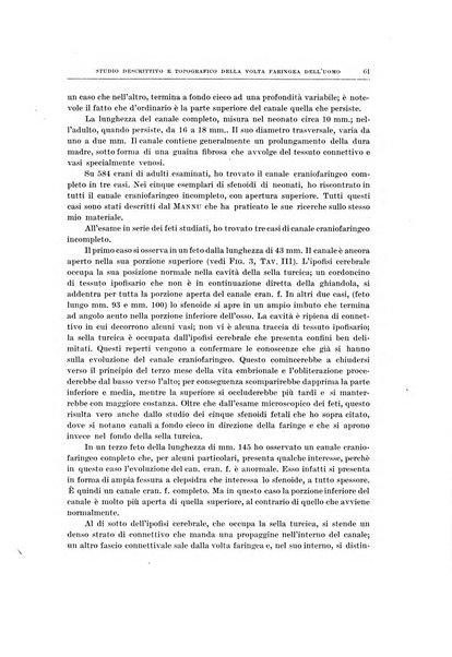 Ricerche di morfologia