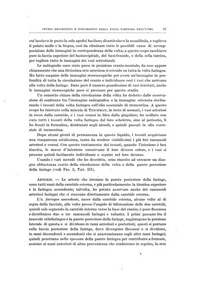 Ricerche di morfologia