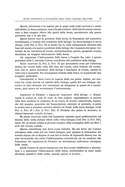 Ricerche di morfologia