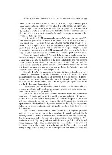 Ricerche di morfologia