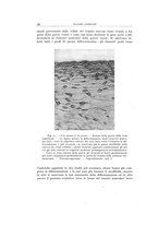 giornale/TO00193694/1944/20-21/00000046