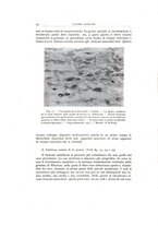 giornale/TO00193694/1944/20-21/00000052