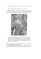 giornale/TO00193694/1944/20-21/00000055