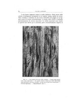 giornale/TO00193694/1944/20-21/00000072